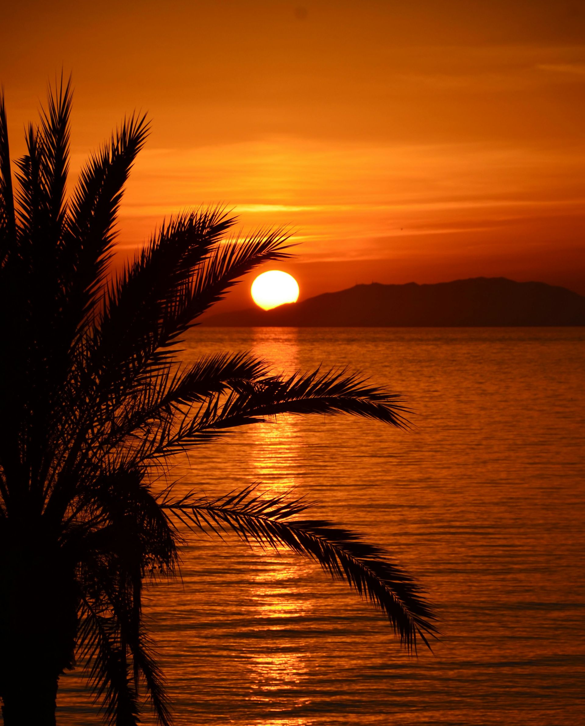 Beautiful Sunset at Sea